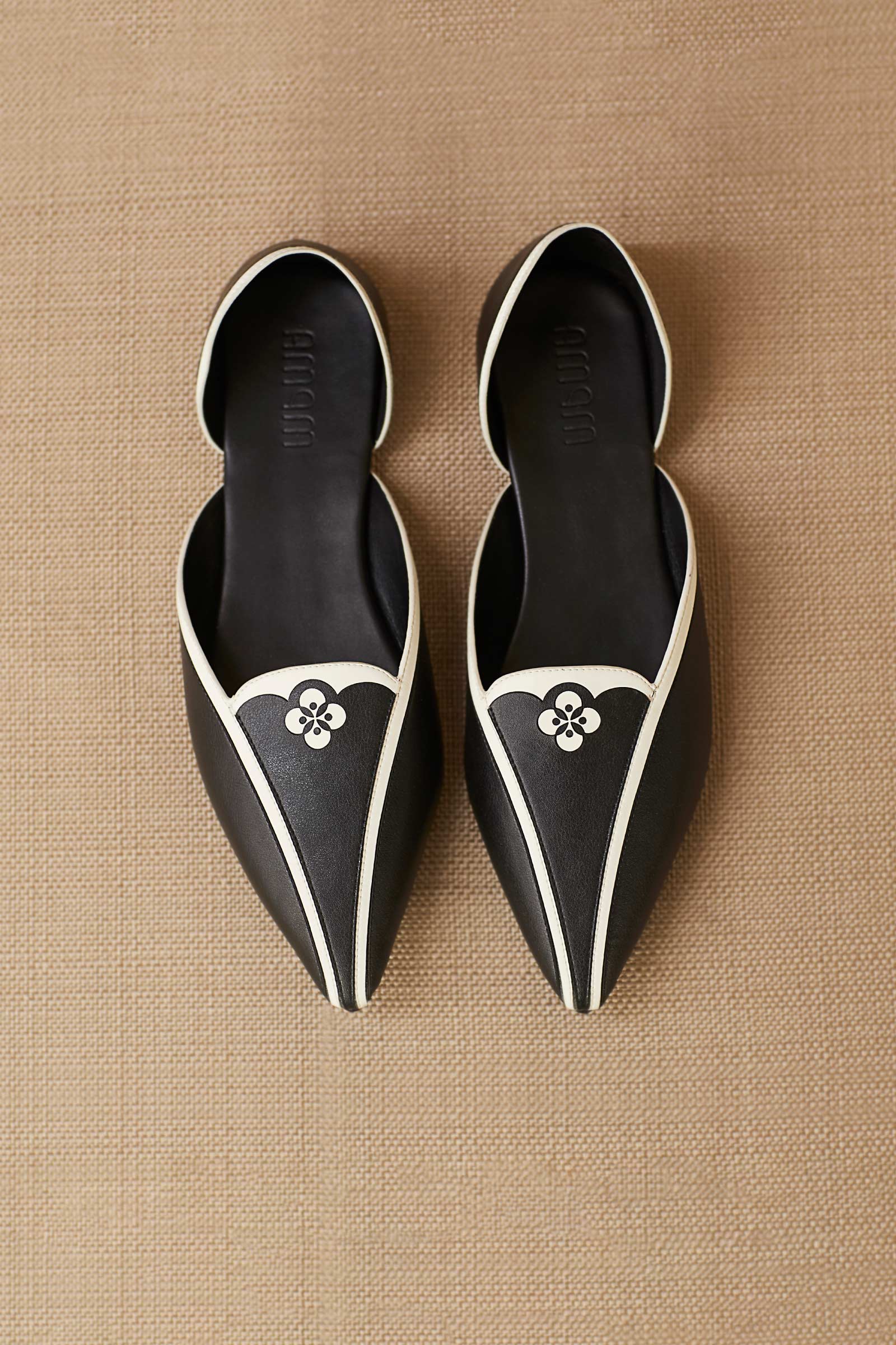 Elena Point-toe Flats - Image 4